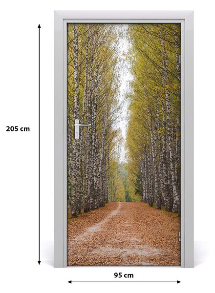 Fototapeta na dvere samolepiace Břízová les 95x205 cm