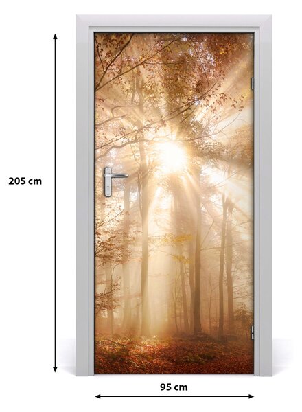 Fototapeta na dvere samolepiace les jeseň 95x205 cm