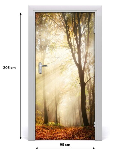 Fototapeta na dvere samolepiace les jeseň 95x205 cm
