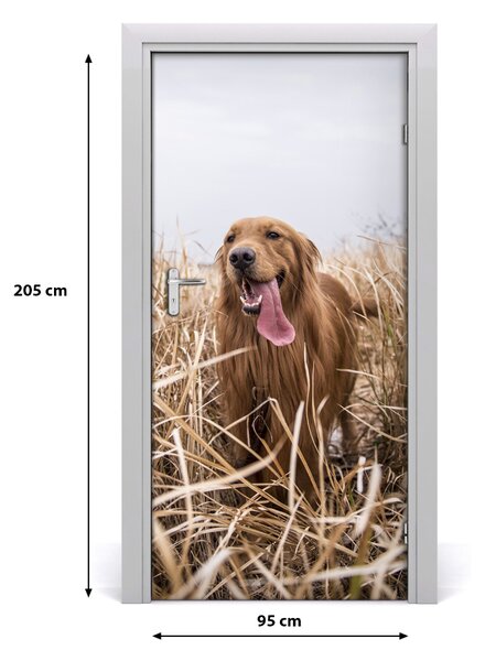 Samolepiace fototapety na dvere golden retriever 95x205 cm