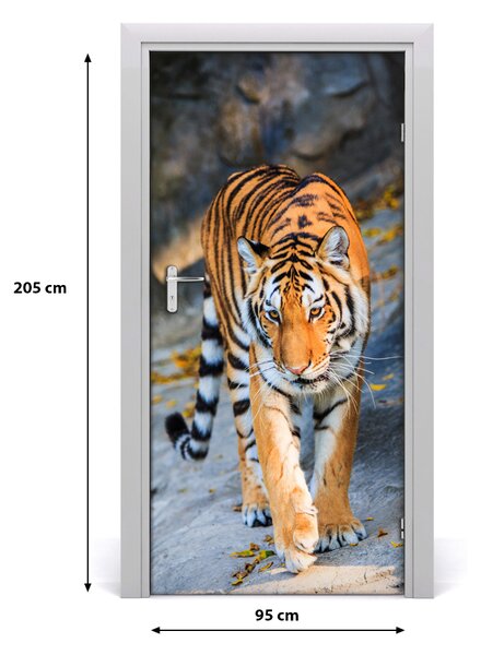 Samolepiace fototapety na dvere tiger 95x205 cm