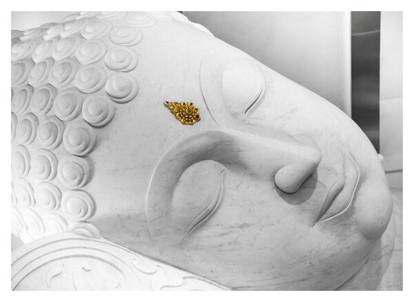 Sklenený obraz - Biely Budha (70x50 cm)