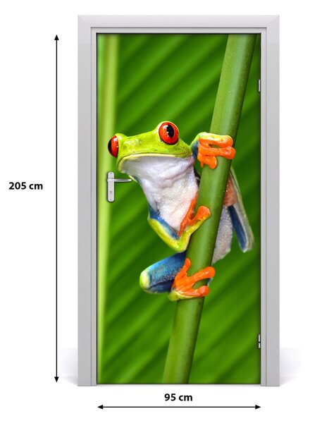 Samolepiace fototapety na dvere rosnička zelená 95x205 cm