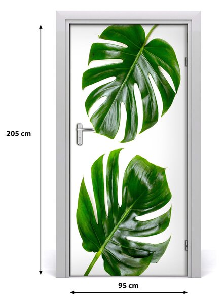 Fototapeta na dvere Monstera 95x205 cm