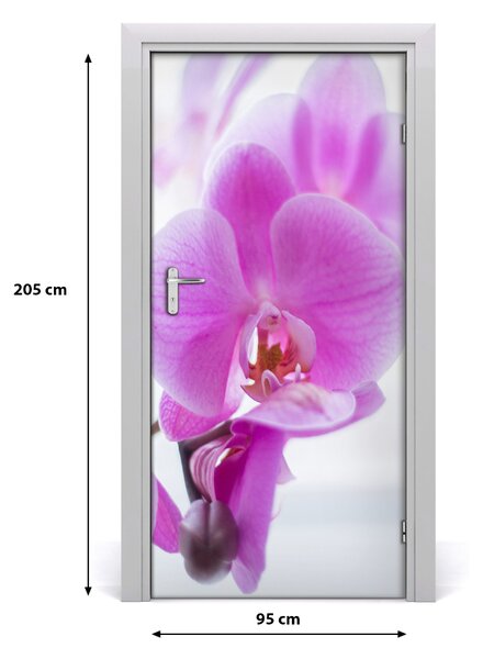 Fototapeta na dvere ružová orchidea 95x205 cm