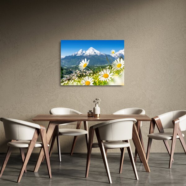 Sklenený obraz - Jar v Alpách (70x50 cm)