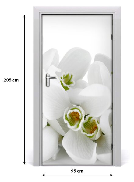 Fototapeta samolepiace biele snežienky 95x205 cm