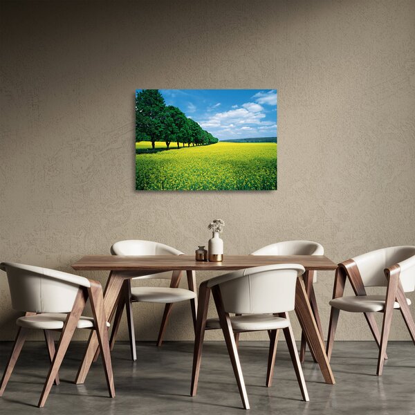 Sklenený obraz poľa s alejou (70x50 cm)