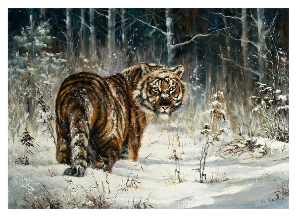 Sklenený obraz - Tiger v zasneženom lese, olejomaľba (70x50 cm)