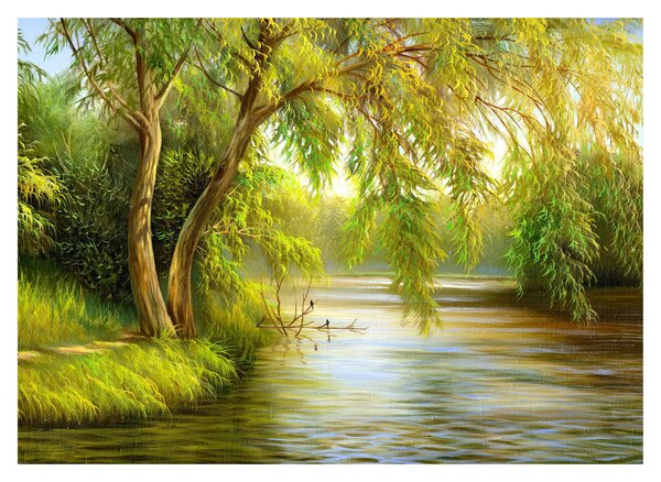 Sklenený obraz - Vŕba pri jazere, olejomaľba (70x50 cm)