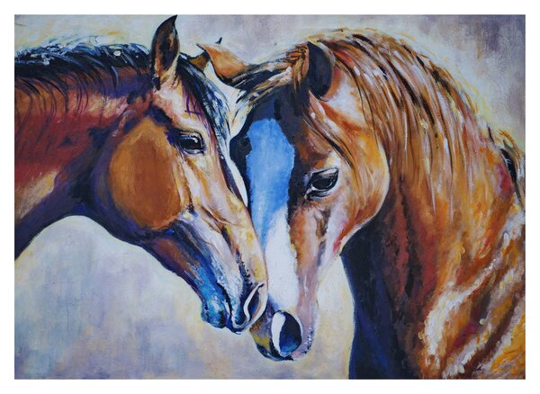 Sklenený obraz - Zamilované kone (70x50 cm)