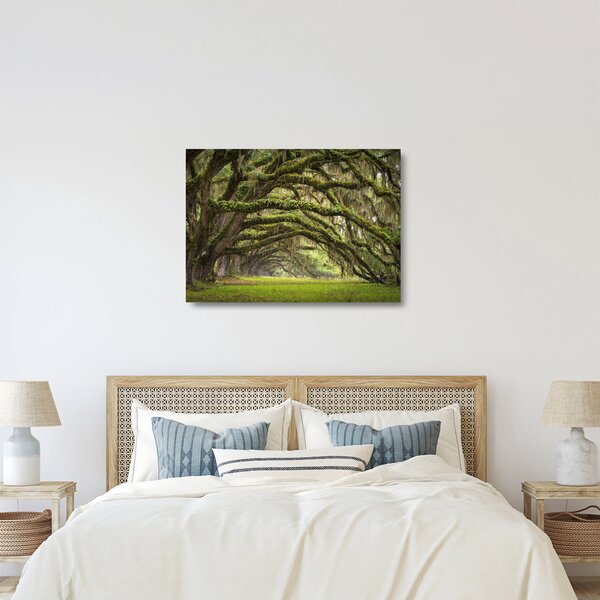 Sklenený obraz - Oaks Avenue, Charleston, Južná Karolína, USA (70x50 cm)