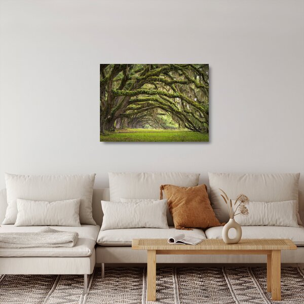 Sklenený obraz - Oaks Avenue, Charleston, Južná Karolína, USA (70x50 cm)