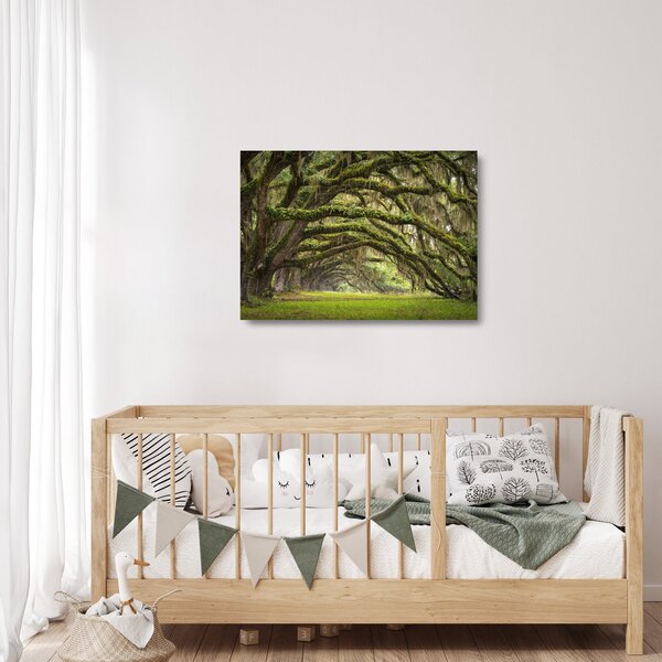 Sklenený obraz - Oaks Avenue, Charleston, Južná Karolína, USA (70x50 cm)