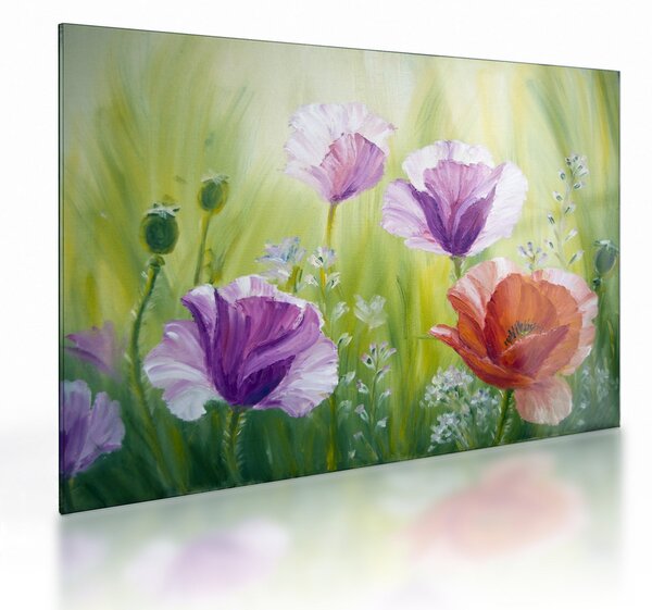 Sklenený obraz - Vlčie maky (70x50 cm)