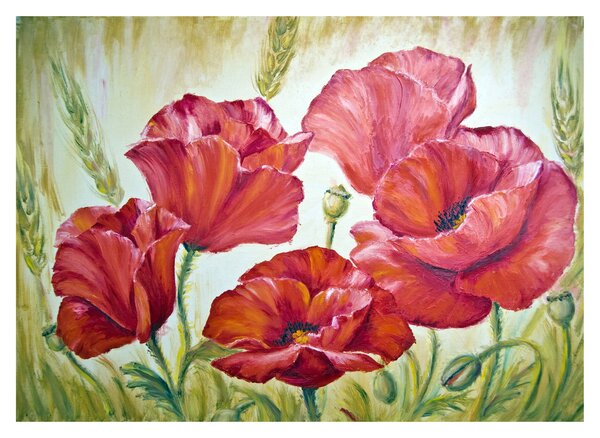 Sklenený obraz - Kvety vlčích makov (70x50 cm)