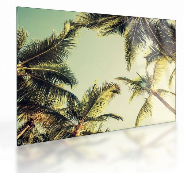 Sklenený obraz s kokosovými palmami (70x50 cm)
