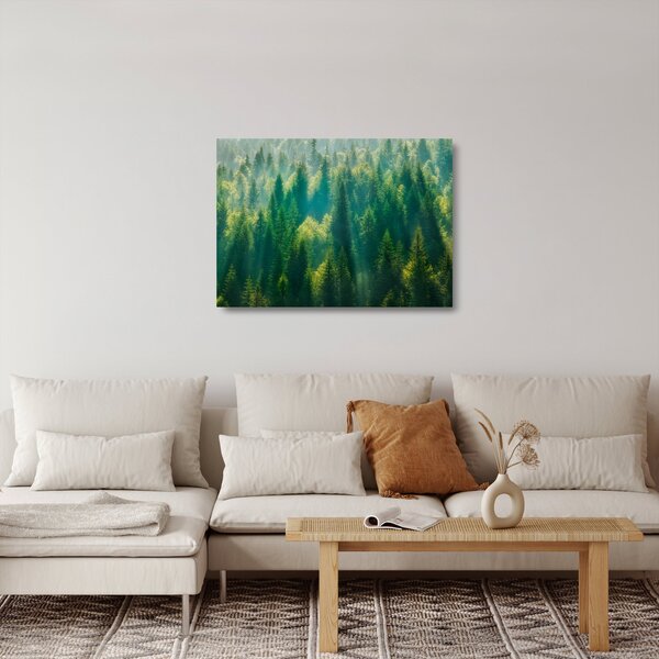 Sklenený obraz - Borovicový les (70x50 cm)