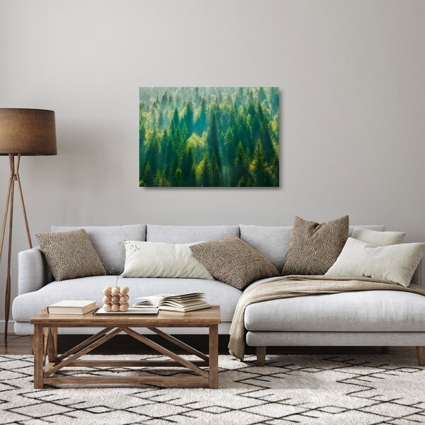 Sklenený obraz - Borovicový les (70x50 cm)