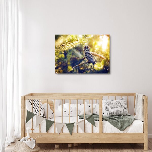 Sklenený obraz sovy na strome (70x50 cm)