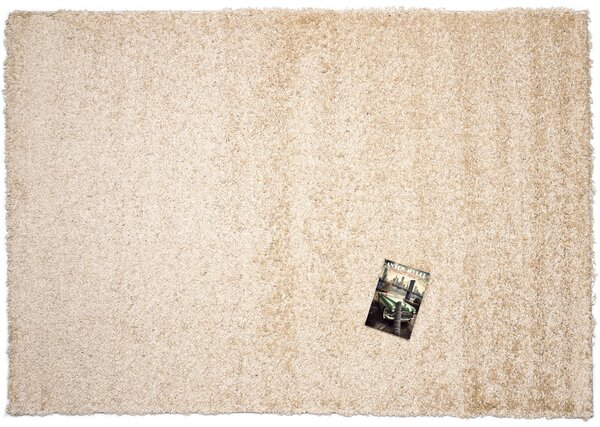 Mono Carpet , Kusový koberec Efor Shaggy 2226 Beige, 120x170, béžová, obývacia izba