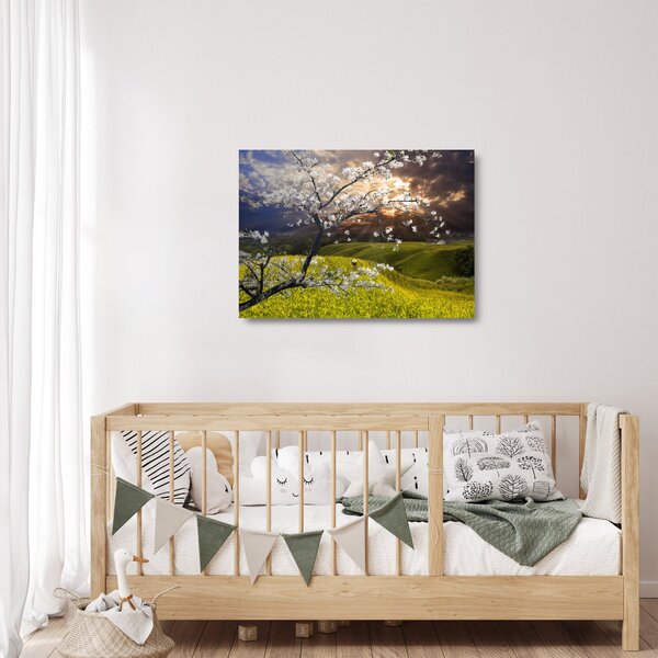 Sklenený obraz - Rozkvitnutý strom v krajine (70x50 cm)