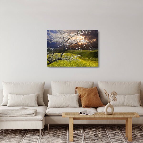 Sklenený obraz - Rozkvitnutý strom v krajine (70x50 cm)
