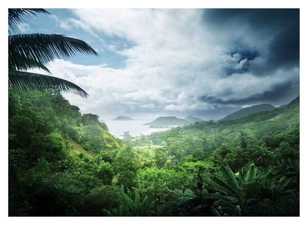 Sklenený obraz - Seychelská jungle (70x50 cm)