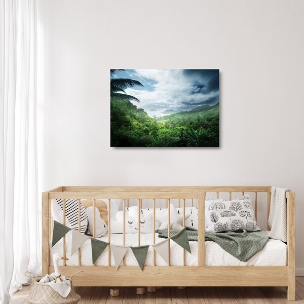 Sklenený obraz - Seychelská jungle (70x50 cm)
