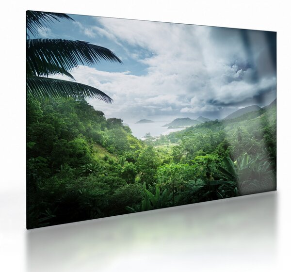 Sklenený obraz - Seychelská jungle (70x50 cm)