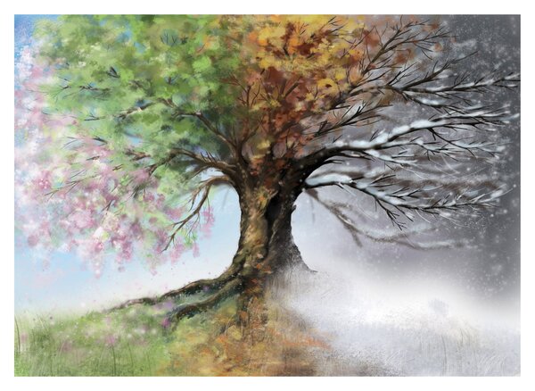 Sklenený obraz - Strom štyroch ročných období (70x50 cm)