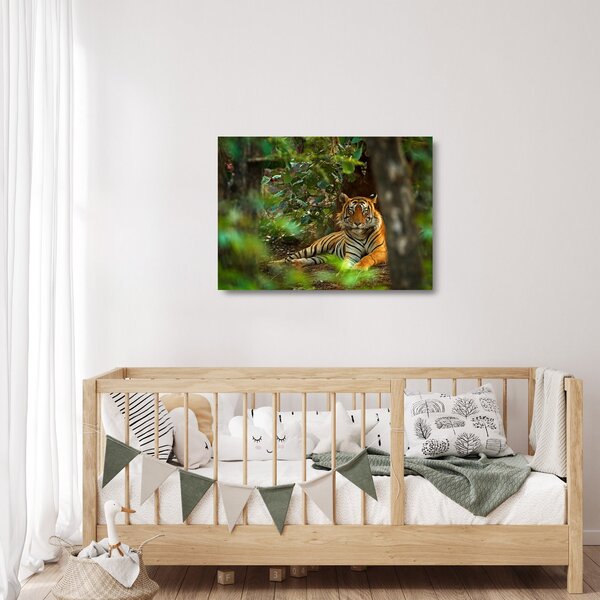 Sklenený obraz odpočívajúceho tigra (70x50 cm)