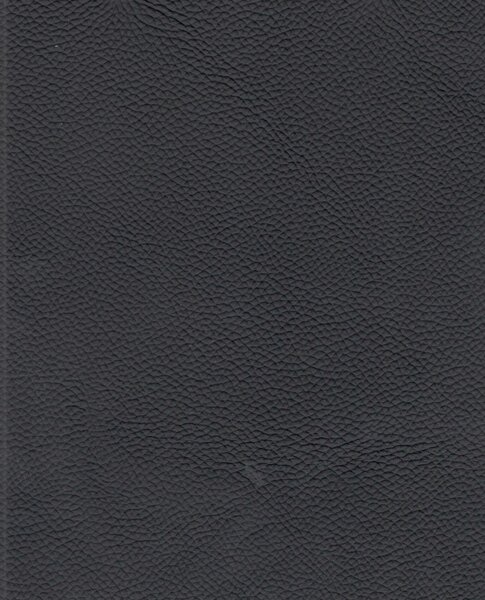 STOLIČKA S PRUŽNÝM PODNOŽÍM, čierna, farba ušľachtilej ocele Novel - Stoličky