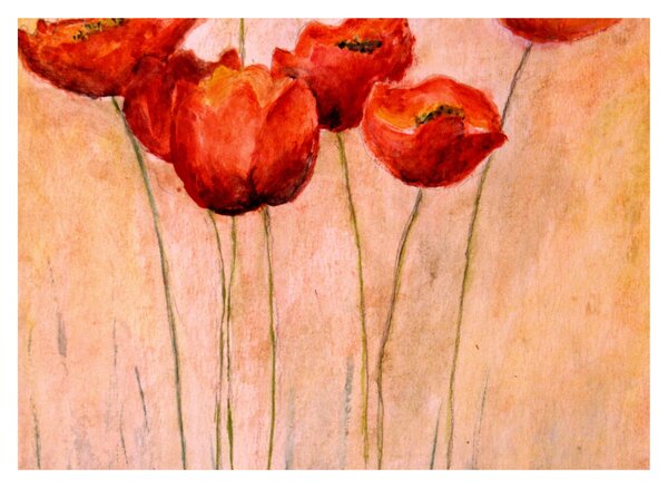 Sklenený obraz - Červené tulipány (70x50 cm)