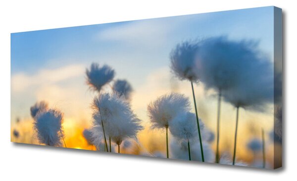 Obraz Canvas Kvety rastlina príroda 100x50 cm
