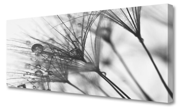 Obraz na plátne Abstrakcie rastlina 125x50 cm