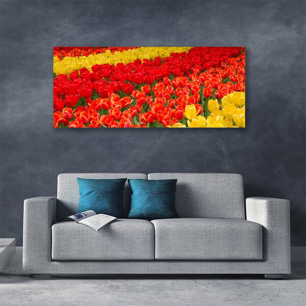 Obraz na plátne Tulipány kvety 125x50 cm