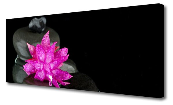 Obraz na plátne Kvet kamene rastlina 125x50 cm