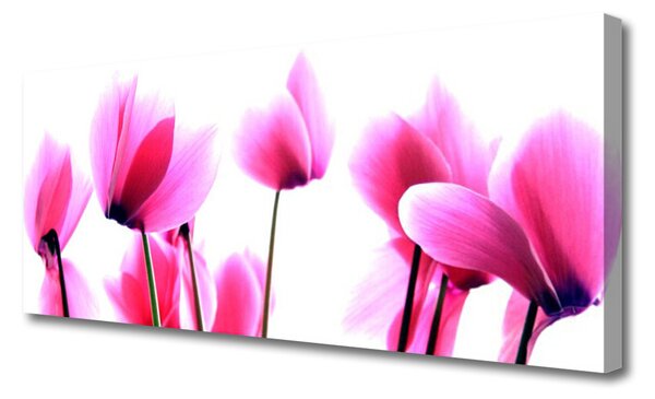 Obraz na plátne Kvetiny rastlina 125x50 cm