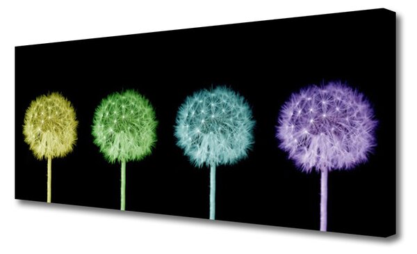 Obraz na plátne Púpava rastlina 125x50 cm