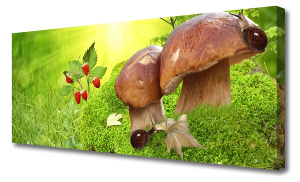 Obraz na plátne Huby divoké jahody 125x50 cm