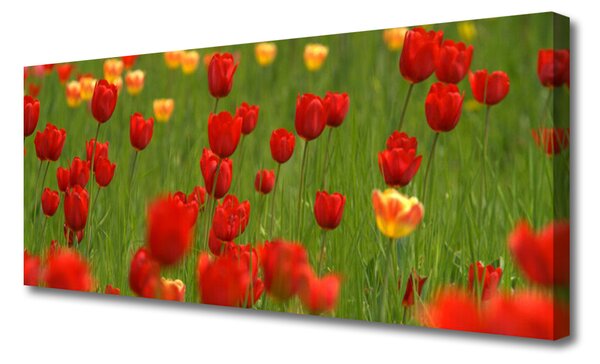 Obraz na plátne Tulipány rastlina 125x50 cm