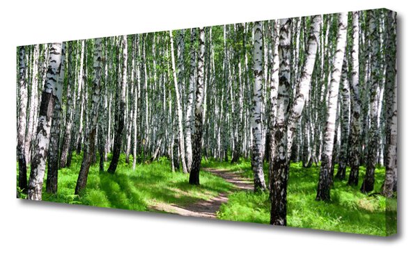 Obraz na plátne Stromy tráva príroda 125x50 cm