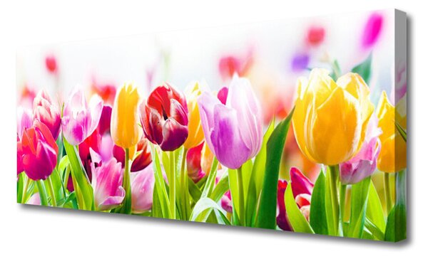 Obraz na plátne Tulipány kvety 125x50 cm