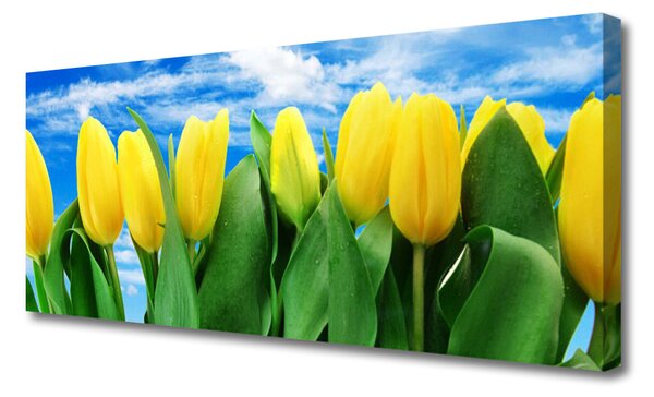 Obraz na plátne Tulipány kvety 125x50 cm