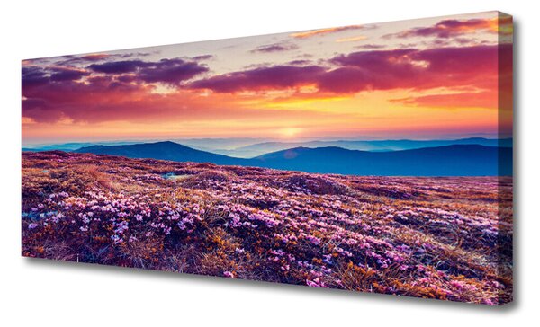 Obraz na plátne Lúka hory kvety príroda 125x50 cm