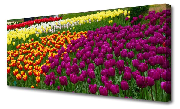 Obraz na plátne Tulipány kvety 125x50 cm