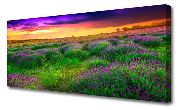 Obraz na plátne Lúka príroda 125x50 cm