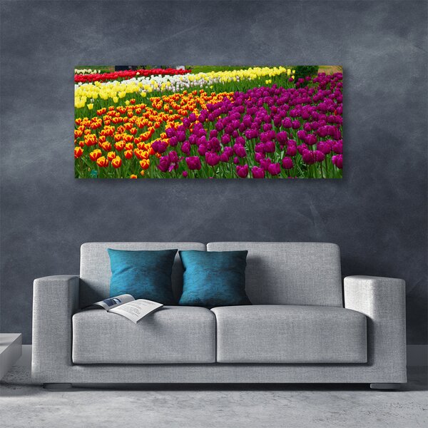 Obraz na plátne Tulipány kvety 125x50 cm