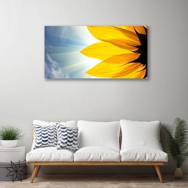 Obraz na plátne Plátky rastlina 125x50 cm